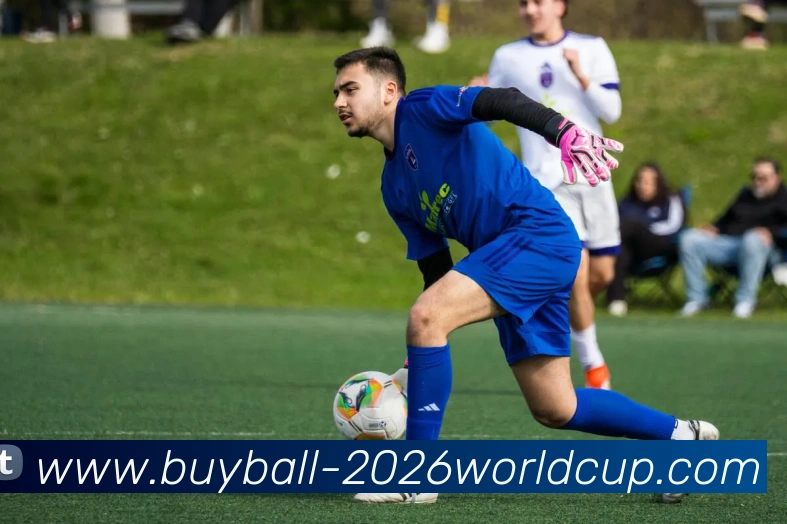 2026世界杯买球平台生态图